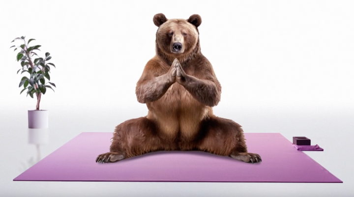 bear doing yoga